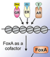 thumbnail image from paper