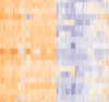 thumbnail image from paper