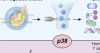 thumbnail image from paper