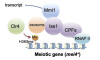 thumbnail image from paper