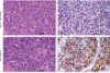 thumbnail image from paper