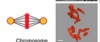 thumbnail image from paper