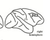 thumbnail image from paper
