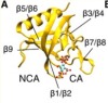thumbnail image from paper