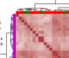 thumbnail image from paper