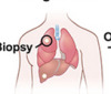thumbnail image from paper