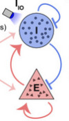 thumbnail image from paper