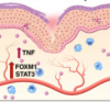 thumbnail image from paper