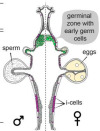 thumbnail image from paper