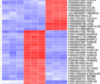 thumbnail image from paper