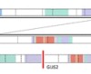 thumbnail image from paper
