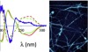 thumbnail image from paper
