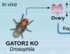 thumbnail image from paper
