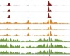 thumbnail image from paper
