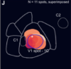 thumbnail image from paper