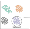 thumbnail image from paper