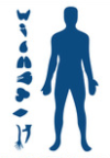thumbnail image from paper