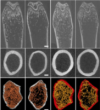 thumbnail image from paper