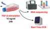 thumbnail image from paper