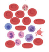 thumbnail image from paper