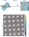 thumbnail image from paper