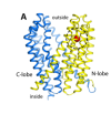 thumbnail image from paper