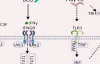 thumbnail image from paper