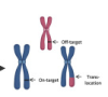 thumbnail image from paper