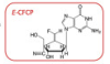 thumbnail image from paper