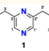 thumbnail image from paper