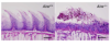 thumbnail image from paper