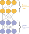 thumbnail image from paper
