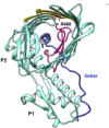 thumbnail image from paper