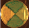 thumbnail image from paper