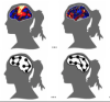 thumbnail image from paper