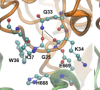 thumbnail image from paper
