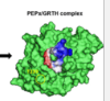 thumbnail image from paper
