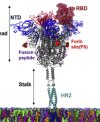 thumbnail image from paper
