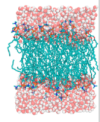 thumbnail image from paper