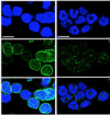 thumbnail image from paper