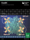 thumbnail image from paper