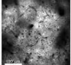 thumbnail image from paper