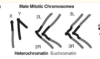 thumbnail image from paper
