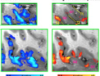 thumbnail image from paper