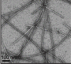 thumbnail image from paper