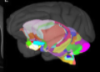 thumbnail image from paper