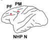 thumbnail image from paper