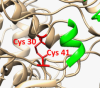 thumbnail image from paper