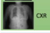 thumbnail image from paper
