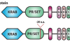 thumbnail image from paper